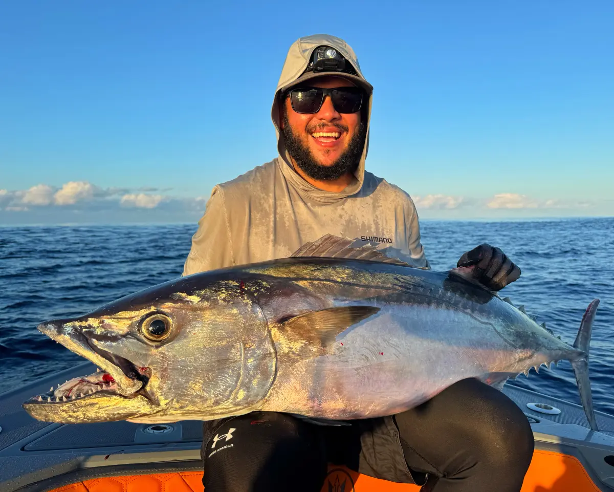 Тур Big Game Mahe Plato 8h