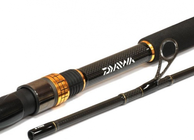 spinning-daiwa-morethan-ags.jpg